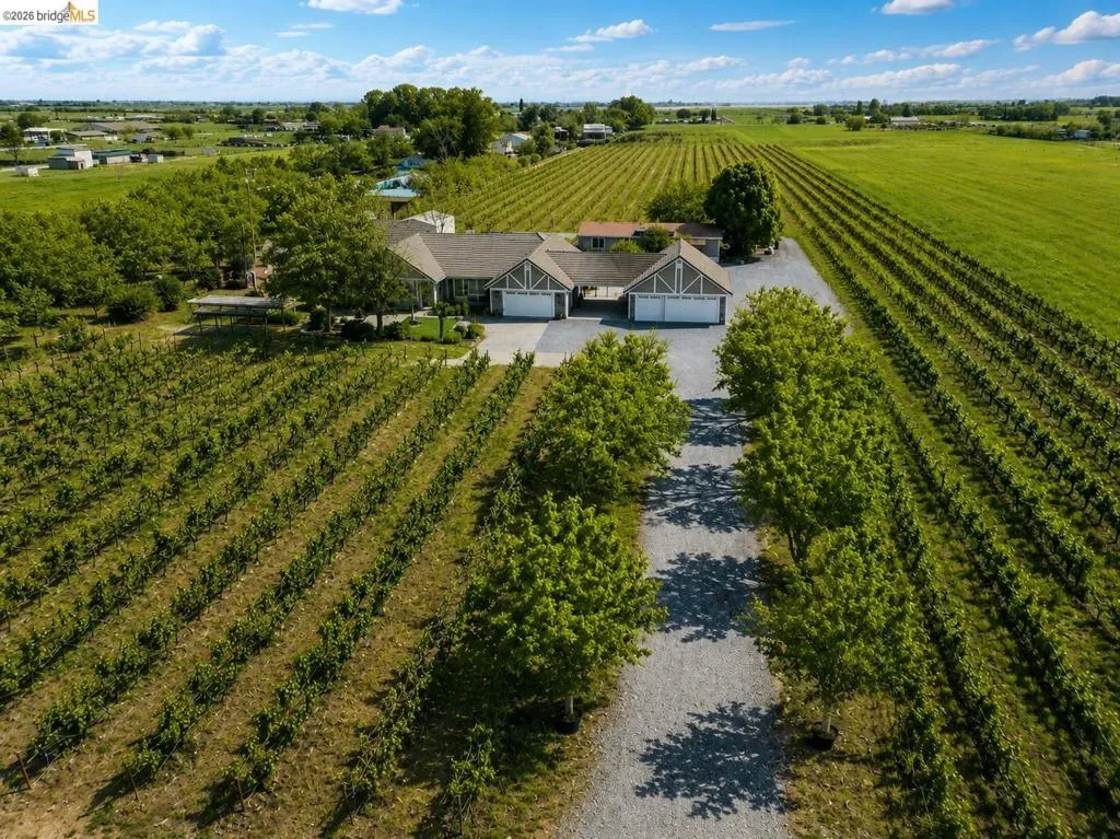 Expansive property featuring structured rows of vineyards and a gravel driveway