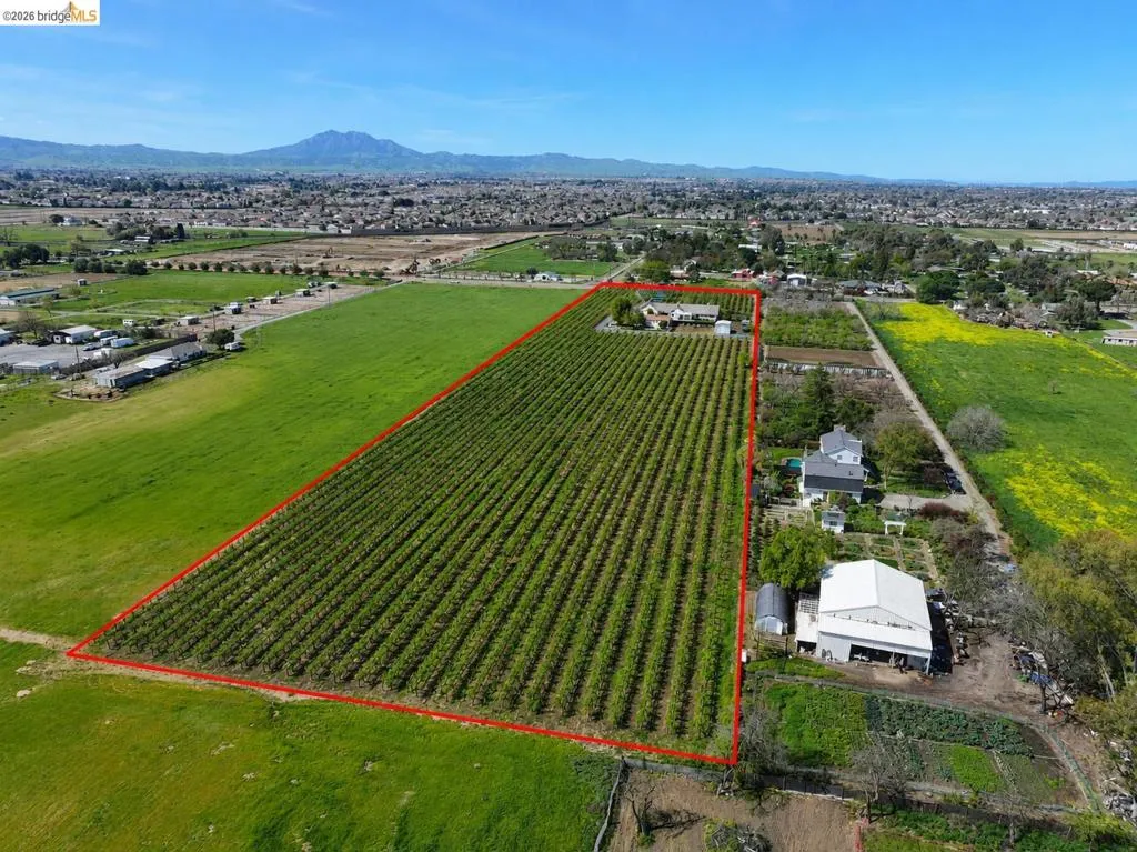 Expansive agricultural property featuring established rows of crops, multiple residential structures, a large metal-roofed outbuilding, and additional smaller outbuildings