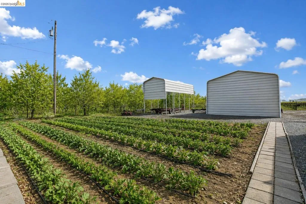 Expansive agricultural field with planted rows and irrigation system