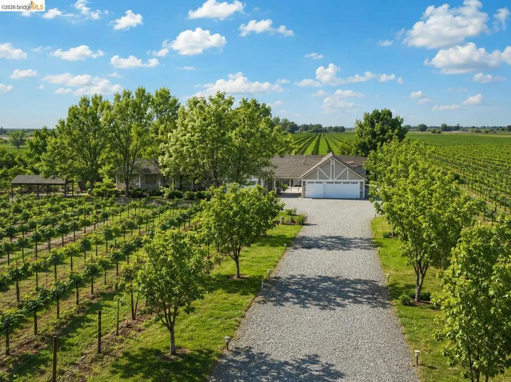 Estate property featuring mature vineyards, a gravel driveway, and a residence with an attached two-car garage