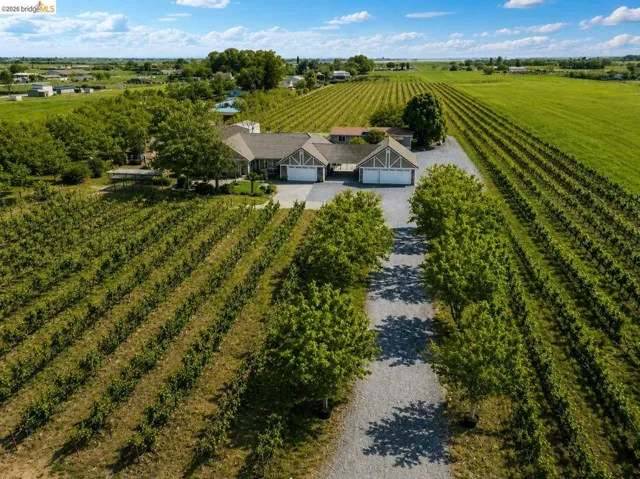 Expansive property featuring structured rows of vineyards and a gravel driveway