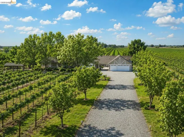 Estate property featuring mature vineyards, a gravel driveway, and a residence with an attached two-car garage