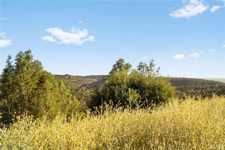 10761 Red Eye Road, Oroville, California 95965