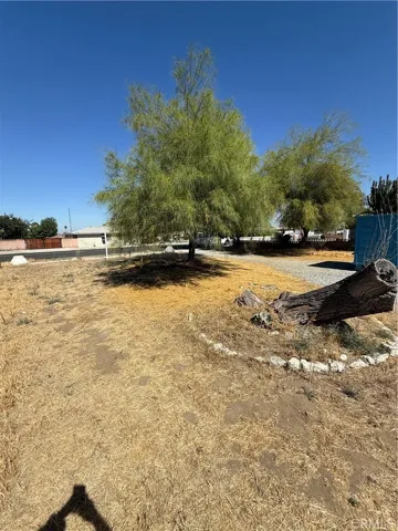 Front lot