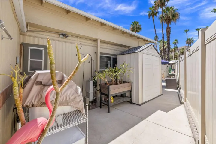 35-web-or-mls-249A3115