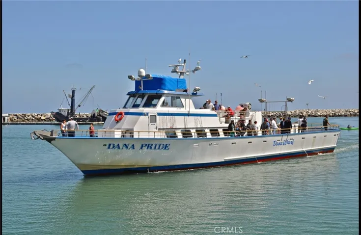 Hop on the Catalina Cruiser to Catalina Island