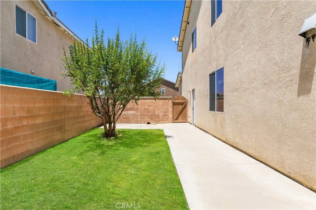 Side Yard Side Yard