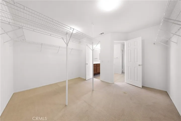 Main Room Closet