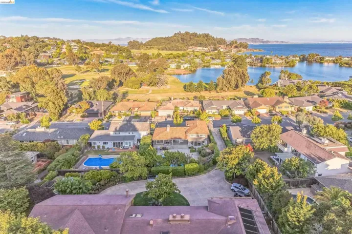 Aerial perspective showcasing a residential community with abundant mature trees, multiple properties featuring private swimming pools, and a prominent water body bordered by additional homes