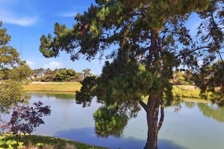 425 Anchor Road 209, San Mateo, California 94404