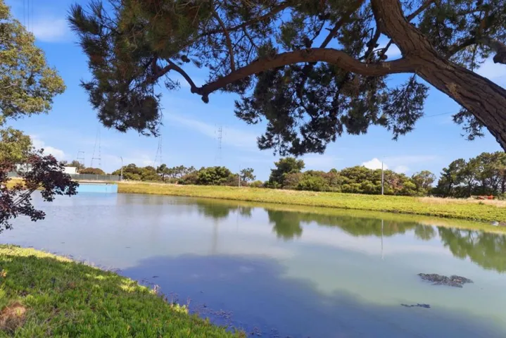 425 Anchor Road 209, San Mateo, California 94404