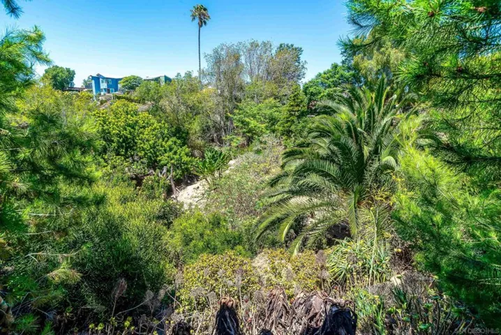 4264 Tacoma, San Diego, California 92117