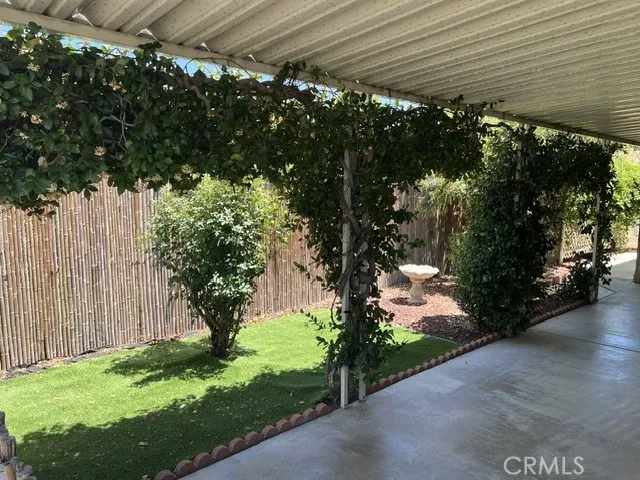 ATTRACTIVE GREENERY