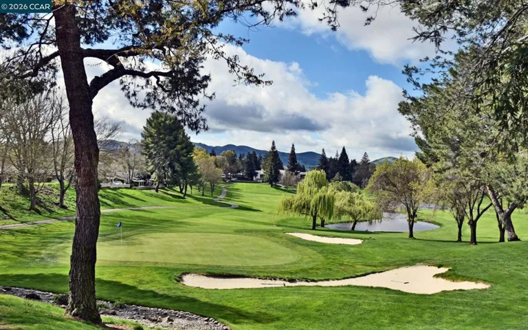 706 Lakeside Ct, Danville, California 94526