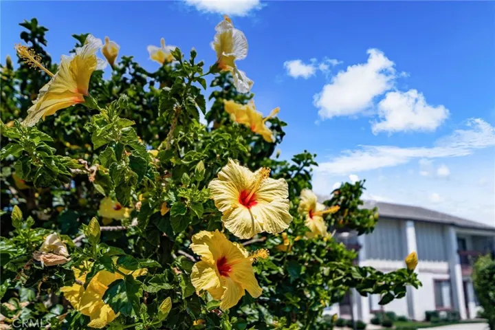 Mature trees and shrubs throughout the complex.