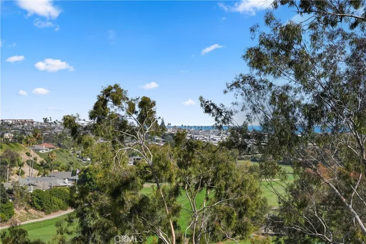3114 Calle Grande Vista, San Clemente, California 92672
