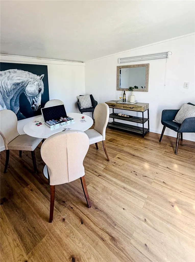 Entertainment Room