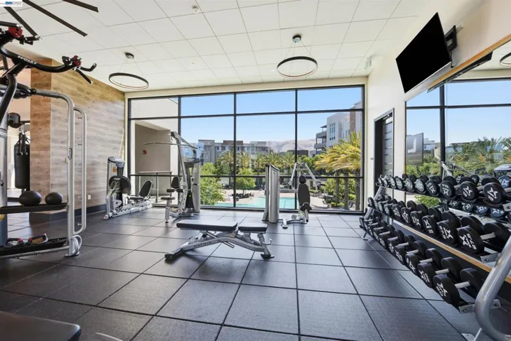 2339 Kinetic Cmn 312, Fremont, California 94539