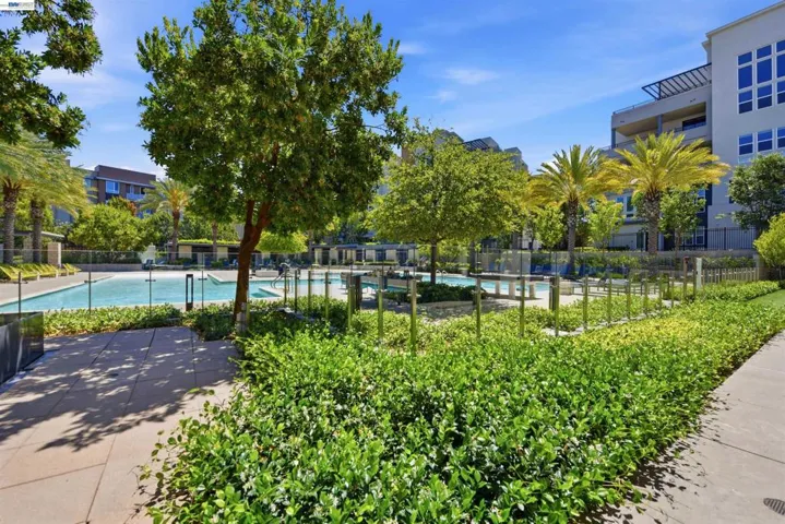 2339 Kinetic Cmn 312, Fremont, California 94539