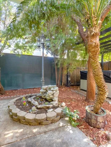 Backyard with mature fruit trees