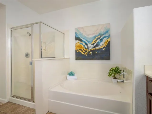 Shower stall + tub in master bathroom