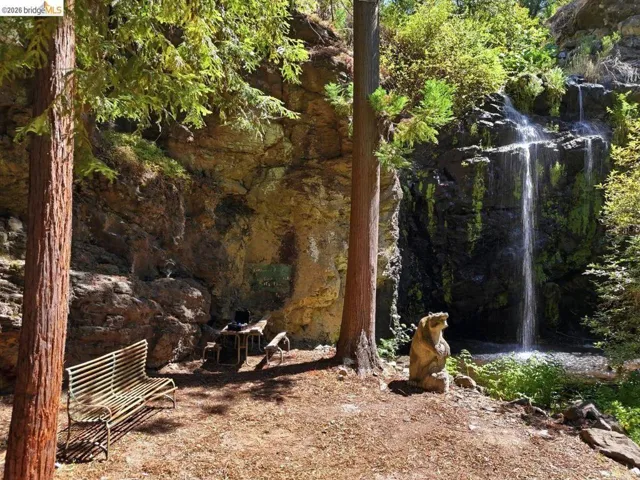Waterfall in the redwood grove.