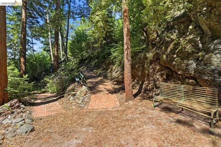 Wooded grounds featuring mature redwood trees