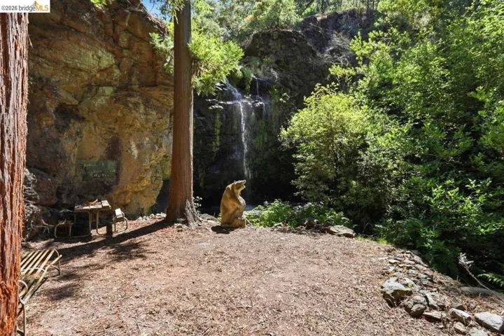 Natural rock face with a waterfall feature, surrounded by mature redwood trees and lush foliage