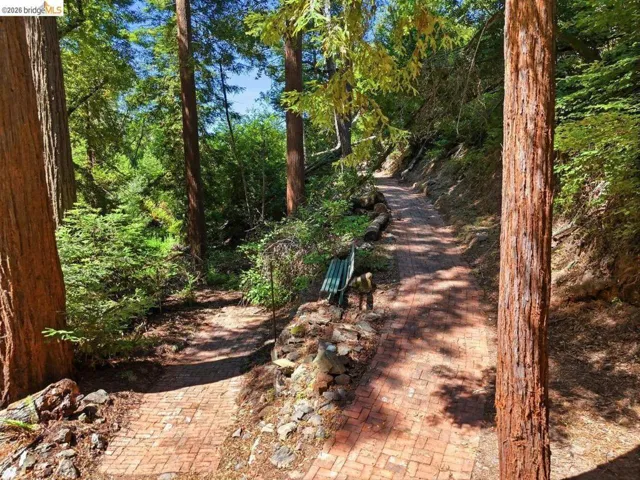 Brick paver pathway winding through a wooded landscape with mature trees