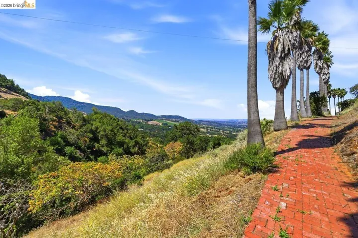 Brick pathway lined with mature palm trees, overlooking rolling hills and distant terrain
