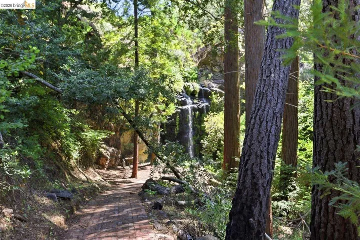 Natural outdoor setting featuring a waterfall, a brick pathway, and mature redwood trees