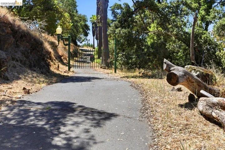 Paved driveway leading to a wrought iron gate with an ornamental light fixture