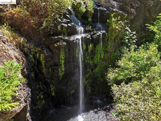 Natural rock waterfall feature surrounded by lush, varied foliage