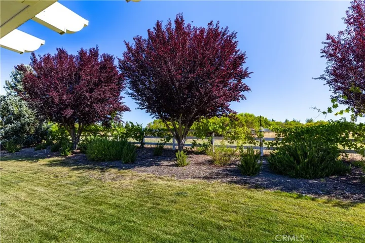 Bonus this one backs up to the greenbelt, natural flora and deer and turkey. Fantastic location