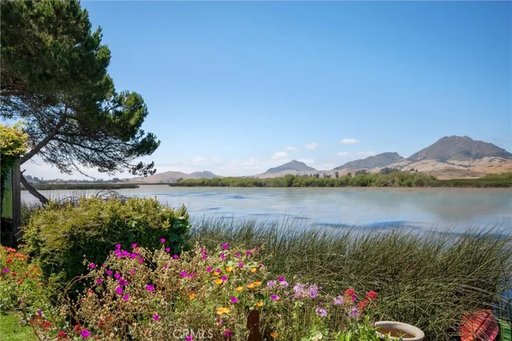Backyard Views