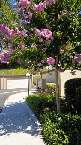 640 N Brea, Brea, California 92821