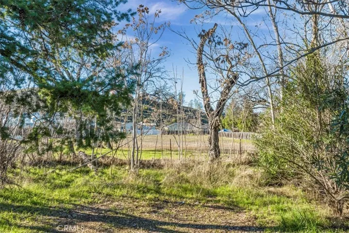 Front of lot