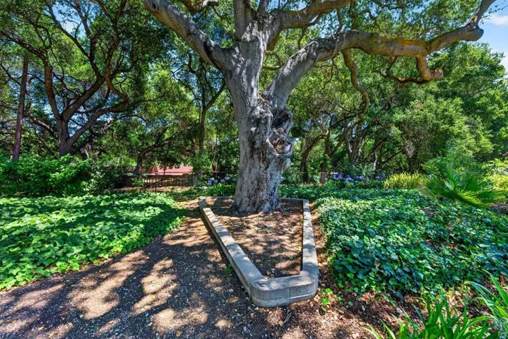 1915 Milano Way, Mountain View, California 94040