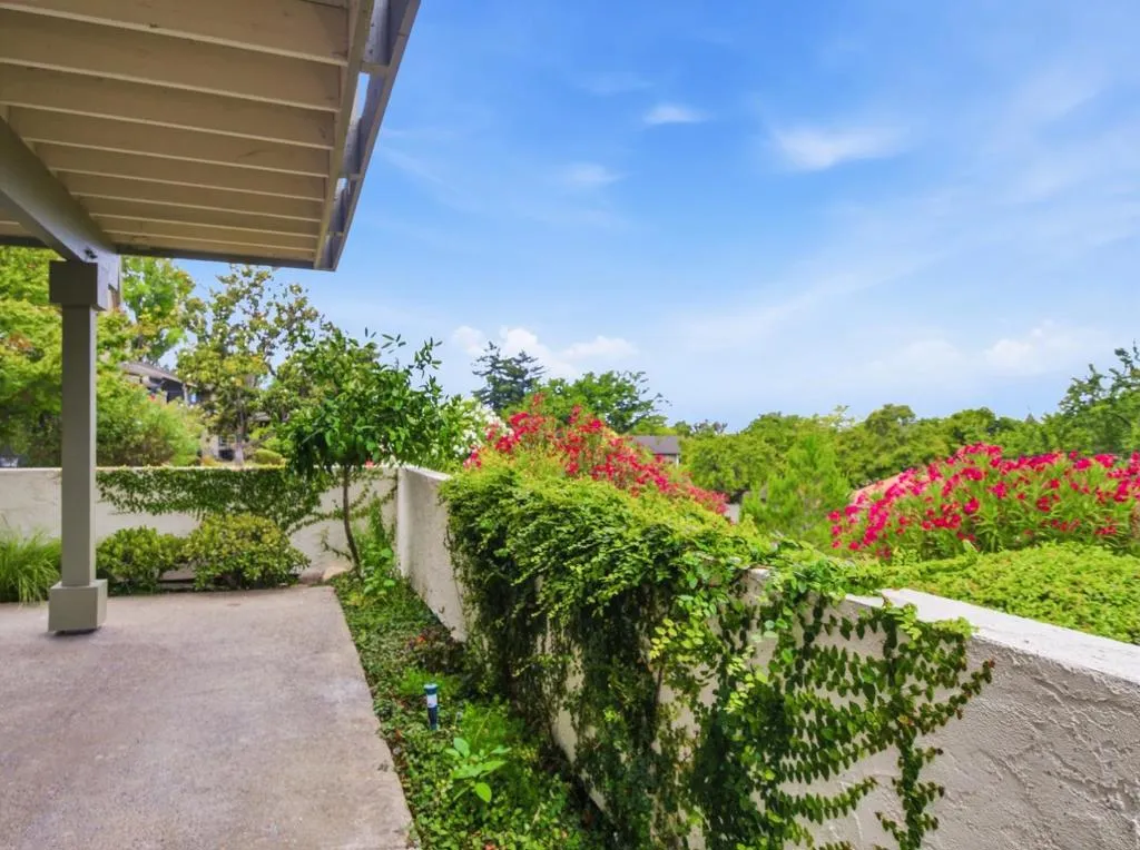 Back Patio