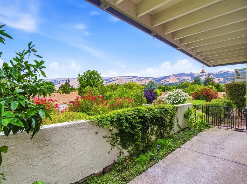 Back Patio