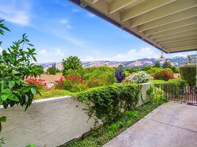 Back Patio
