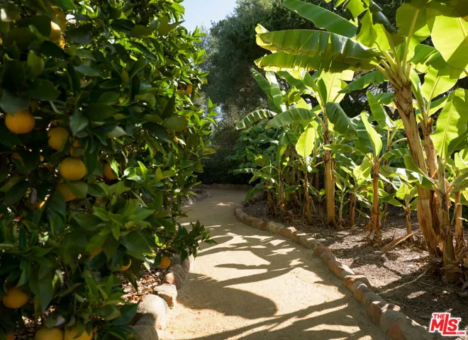 660 /670 Buena Vista Drive, Montecito, California 93108
