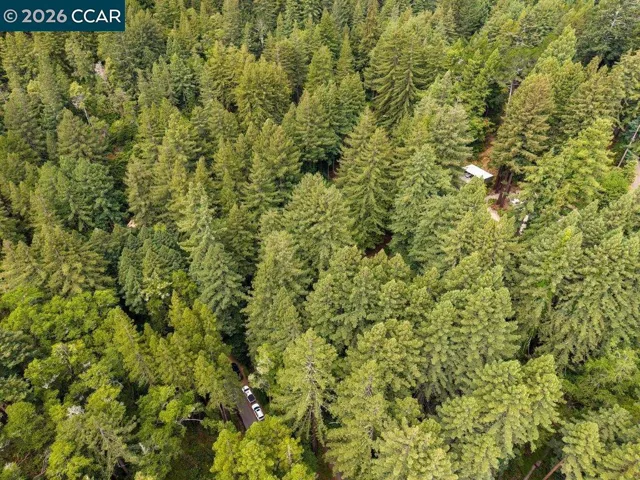 460 A Cascade Dr, Mill Valley, California 94941