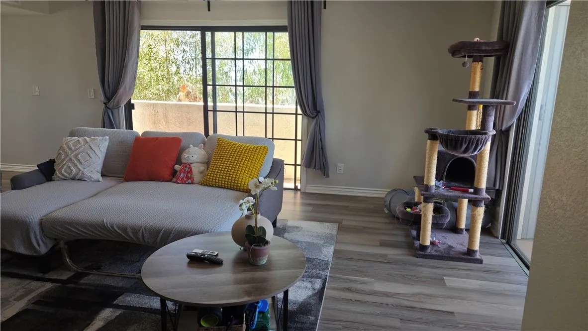 Living Room Area