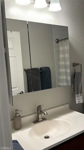 Mster Bathroom