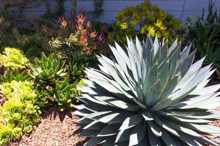 1739 Katrina Court, Santa Cruz, California 95062