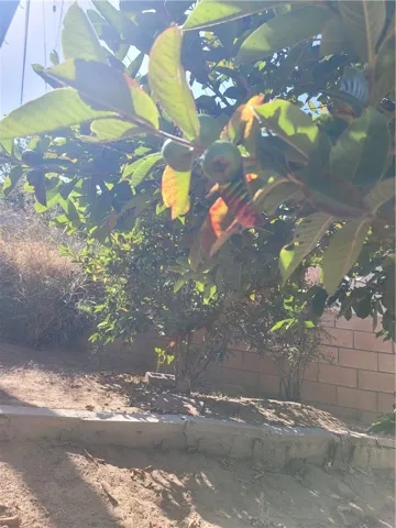 2905 Inglewood Avenue, Redondo Beach, California 90278