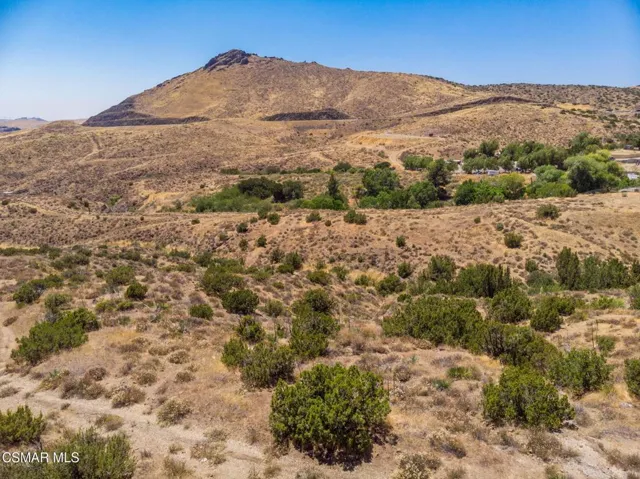 Big Springs Road, 22 Acres