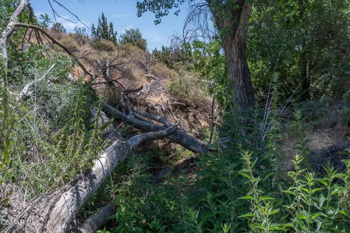 Big Springs Road, 22 Acres
