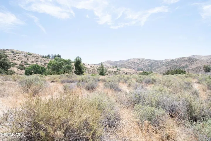 Big Springs Road, 22 Acres